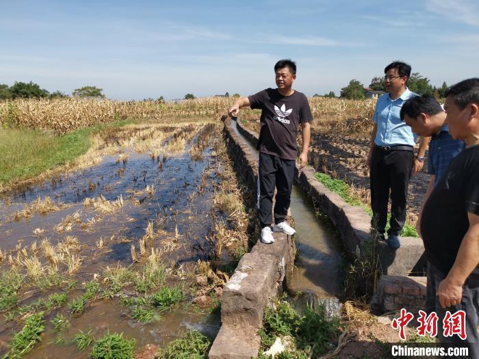 高温致重庆51条河流断流