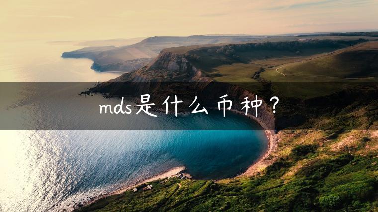 mds是什么币种？