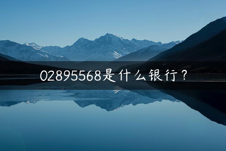 02895568是什么银行？