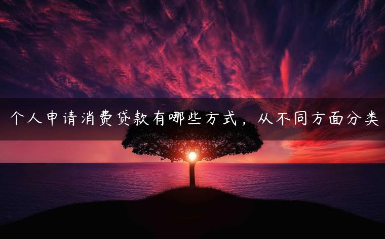 个人申请消费贷款有哪些方式，从不同方面分类