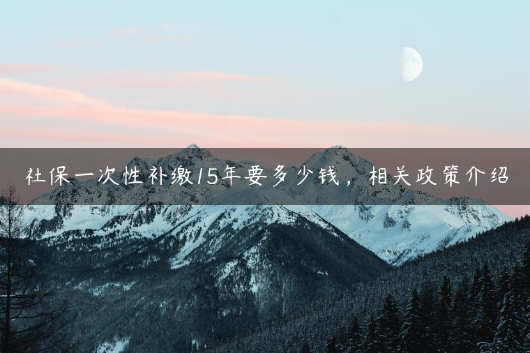 社保一次性补缴15年要多少钱，相关政策介绍