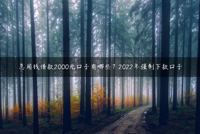 急用钱借款2000元口子有哪些？2022年强制下款口子