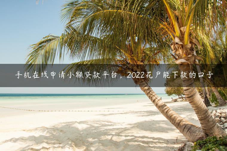 手机在线申请小额贷款平台，2022花户能下款的口子