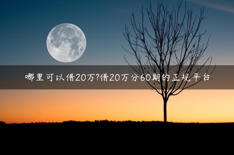 哪里可以借20万?借20万分60期的正规平台