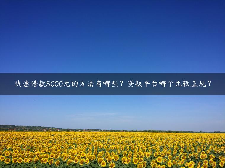 快速借款5000元的方法有哪些？贷款平台哪个比较正规？