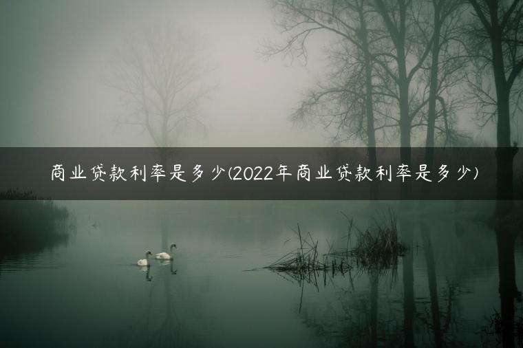 商业贷款利率是多少(2022年商业贷款利率是多少)