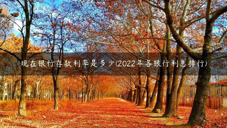 现在银行存款利率是多少(2022年各银行利息排行)