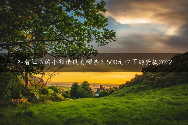 不看征信的小额借钱有哪些？500元秒下的贷款2022