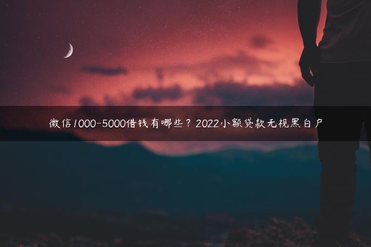 微信1000-5000借钱有哪些？2022小额贷款无视黑白户