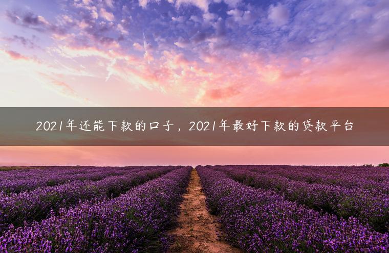 2021年还能下款的口子，2021年最好下款的贷款平台