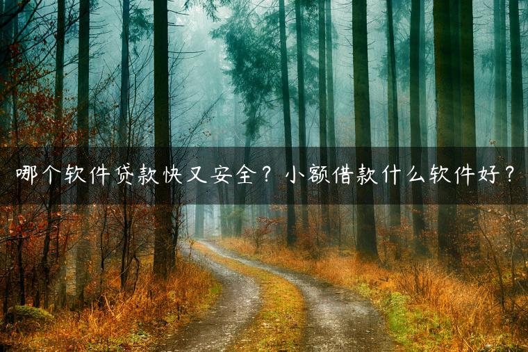 哪个软件贷款快又安全？小额借款什么软件好？