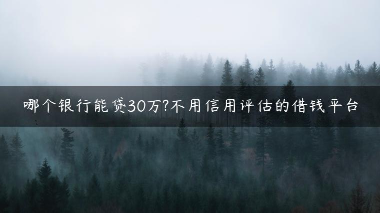 哪个银行能贷30万?不用信用评估的借钱平台