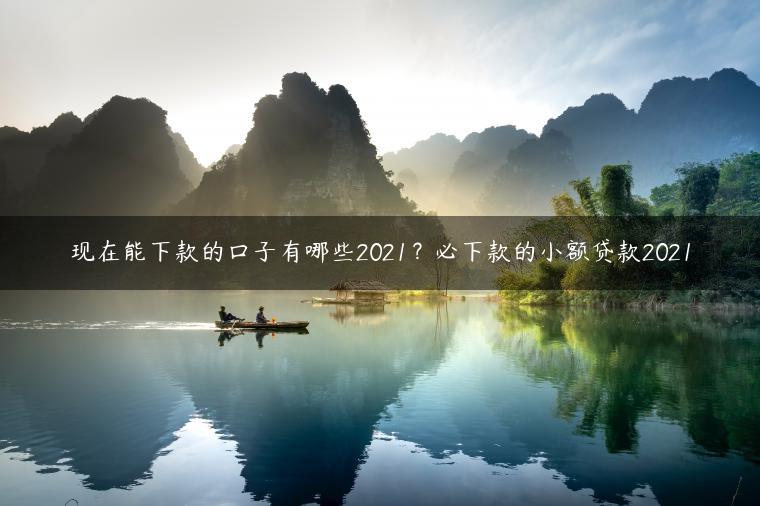 现在能下款的口子有哪些2021？必下款的小额贷款2021