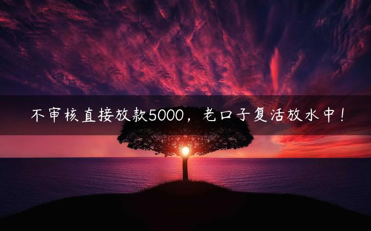 不审核直接放款5000，老口子复活放水中！