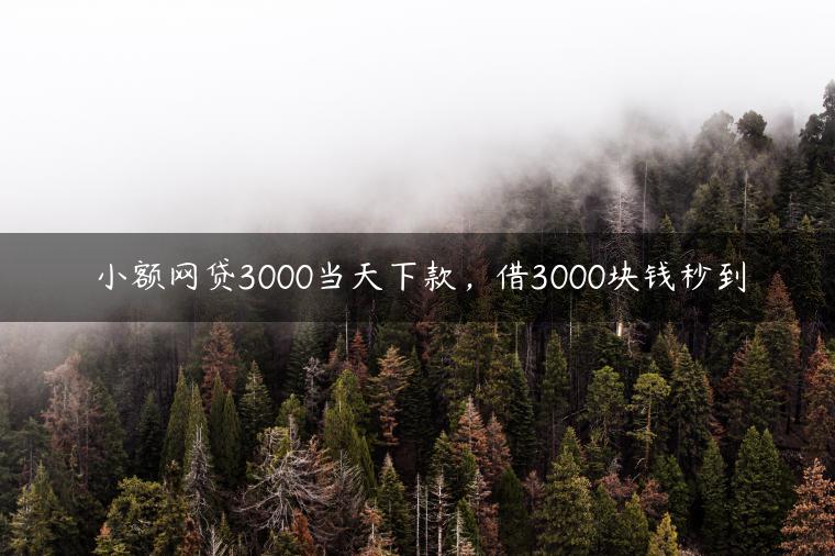 小额网贷3000当天下款，借3000块钱秒到