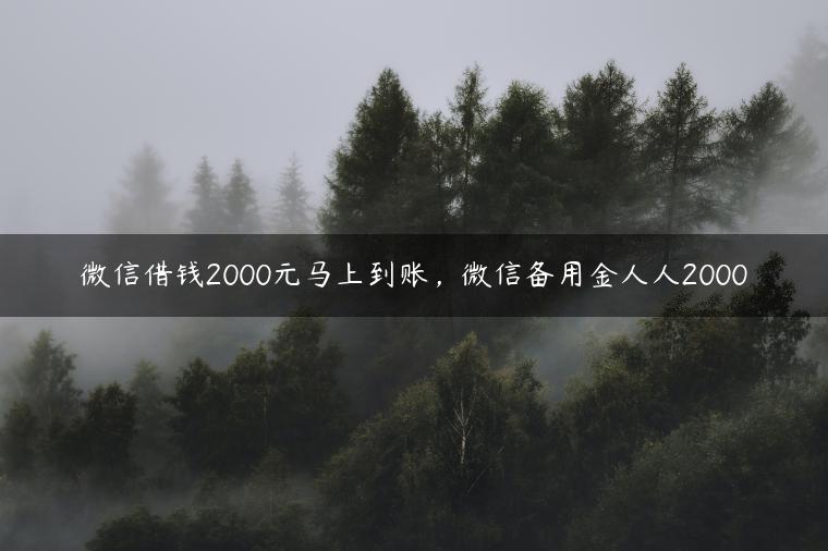 微信借钱2000元马上到账，微信备用金人人2000