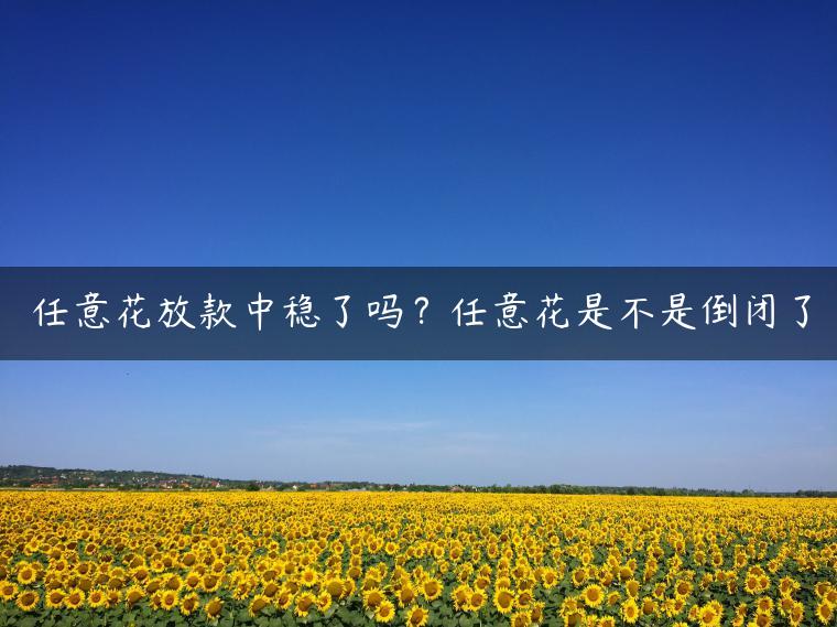 任意花放款中稳了吗？任意花是不是倒闭了