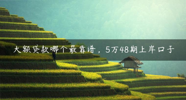 大额贷款哪个最靠谱，5万48期上岸口子