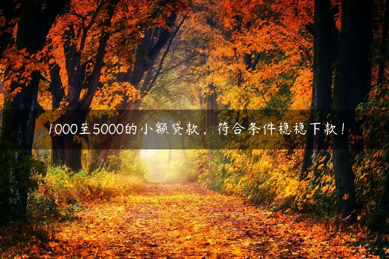 1000至5000的小额贷款，符合条件稳稳下款！