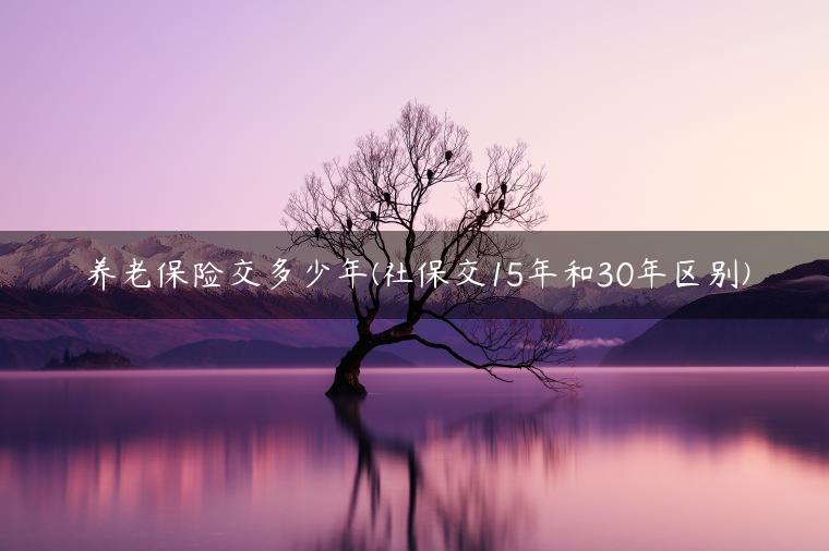 养老保险交多少年(社保交15年和30年区别)