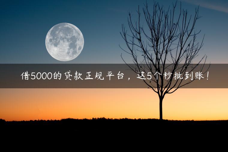 借5000的贷款正规平台，这5个秒批到账！