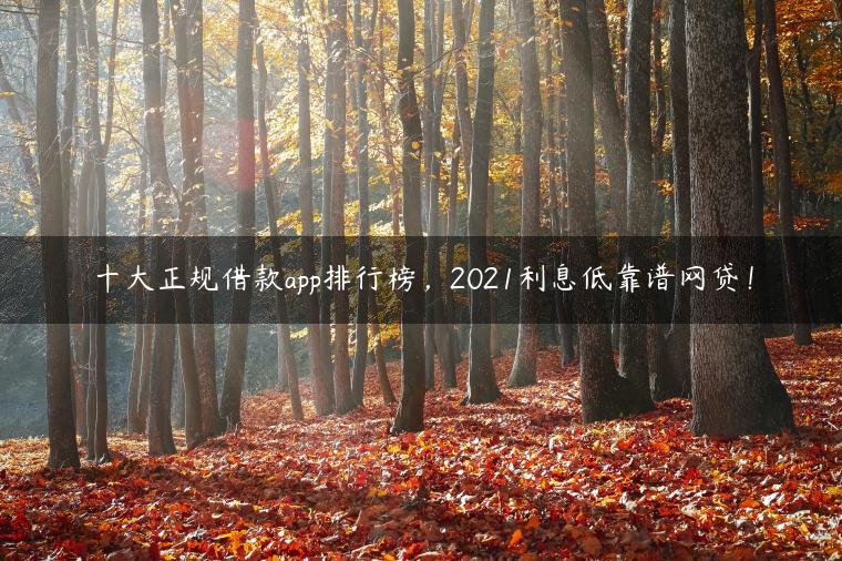 十大正规借款app排行榜，2021利息低靠谱网贷！