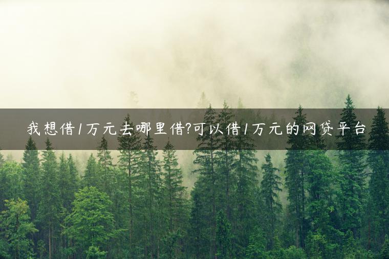 我想借1万元去哪里借?可以借1万元的网贷平台