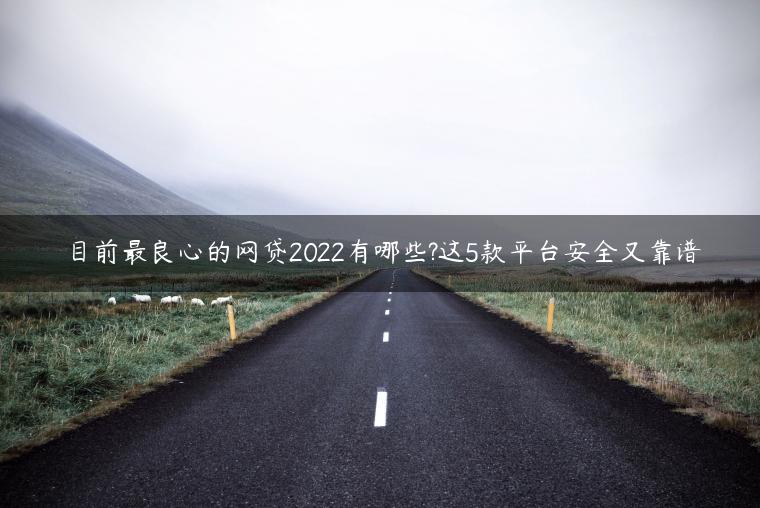 目前最良心的网贷2022有哪些?这5款平台安全又靠谱