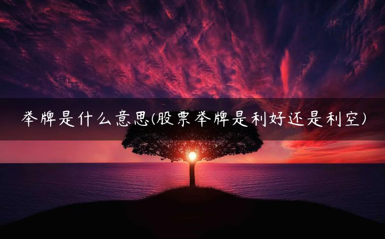 举牌是什么意思(股票举牌是利好还是利空)