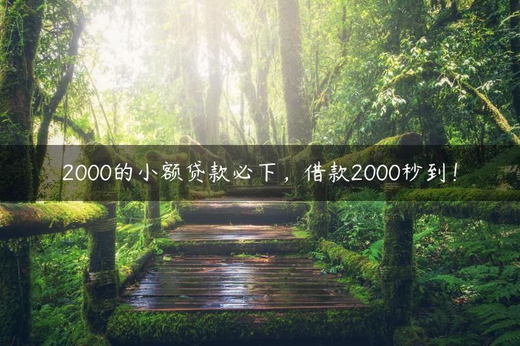 2000的小额贷款必下，借款2000秒到！