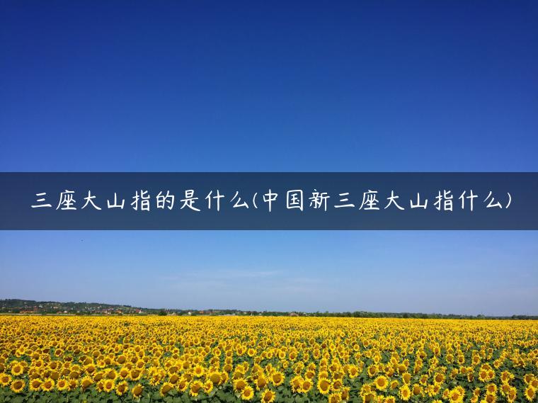 三座大山指的是什么(中国新三座大山指什么)