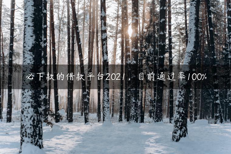 必下款的借款平台2021，目前通过率100%