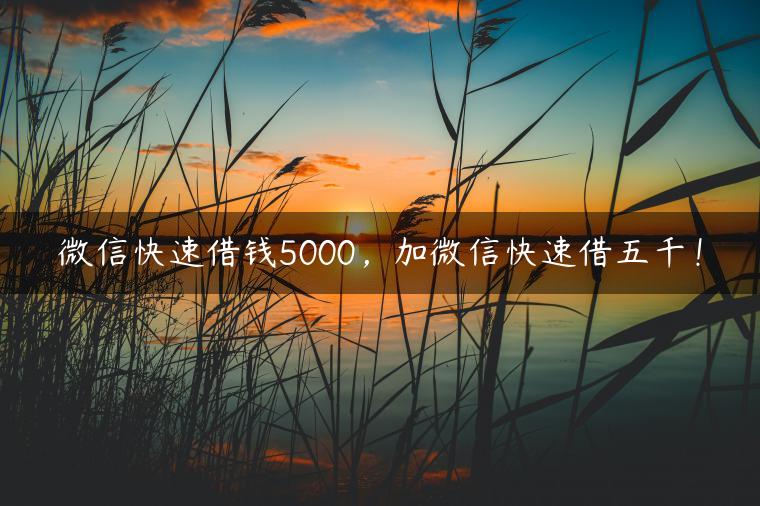 微信快速借钱5000，加微信快速借五千！