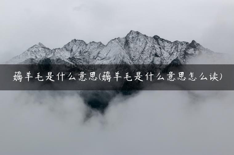 薅羊毛是什么意思(薅羊毛是什么意思怎么读)