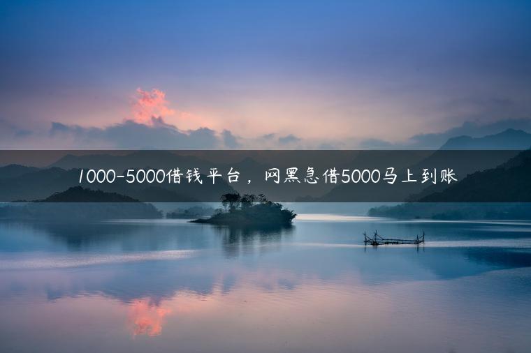 1000-5000借钱平台，网黑急借5000马上到账