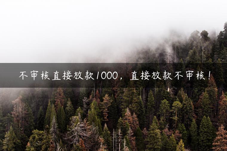 不审核直接放款1000，直接放款不审核！