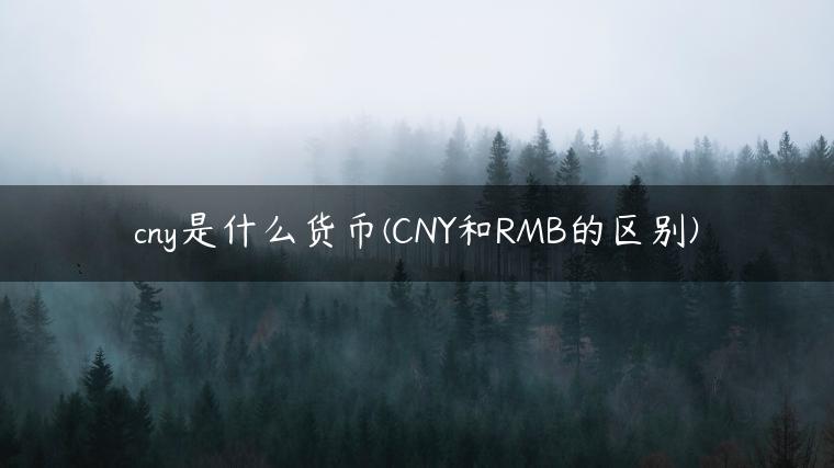 cny是什么货币(CNY和RMB的区别)