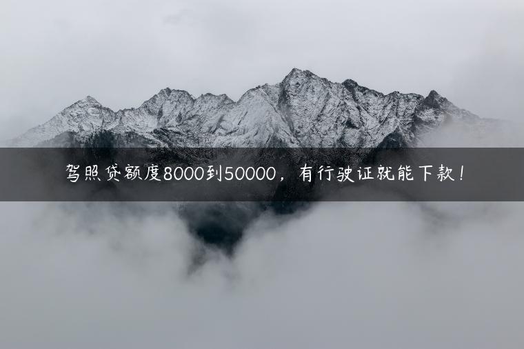 驾照贷额度8000到50000，有行驶证就能下款！