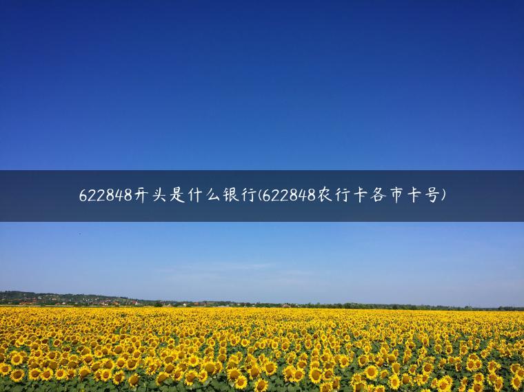 622848开头是什么银行(622848农行卡各市卡号)