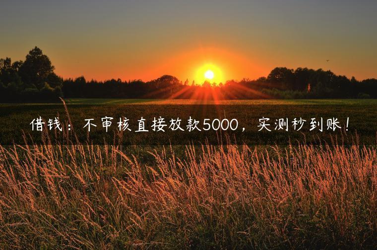 借钱：不审核直接放款5000，实测秒到账！