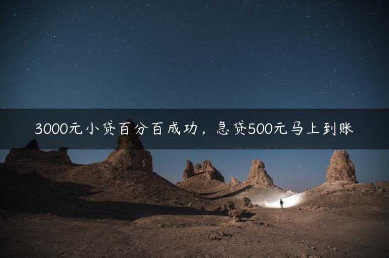 3000元小贷百分百成功，急贷500元马上到账