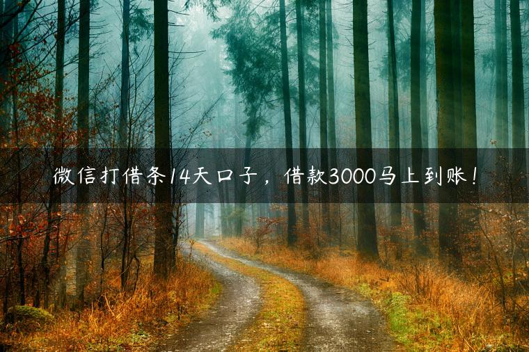 微信打借条14天口子，借款3000马上到账！