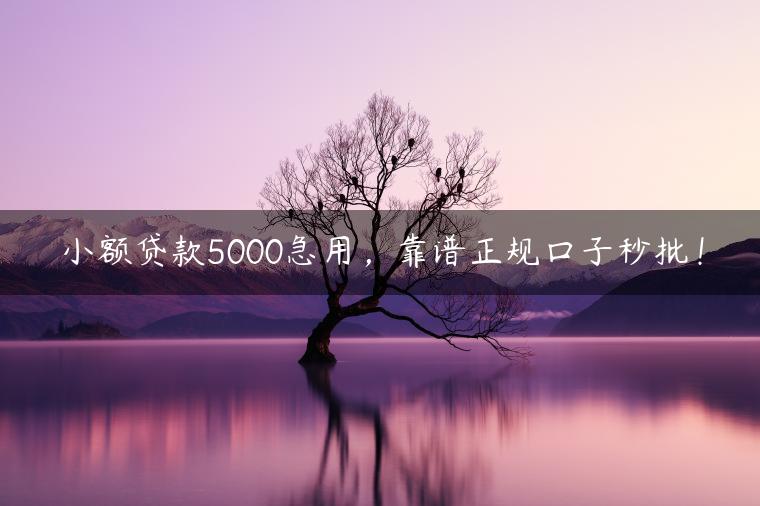 小额贷款5000急用，靠谱正规口子秒批！