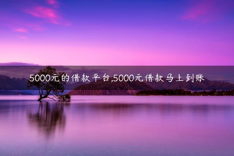 5000元的借款平台,5000元借款马上到账