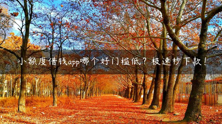 小额度借钱app哪个好门槛低？极速秒下款！