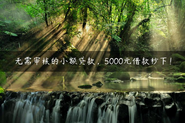 无需审核的小额贷款，5000元借款秒下！