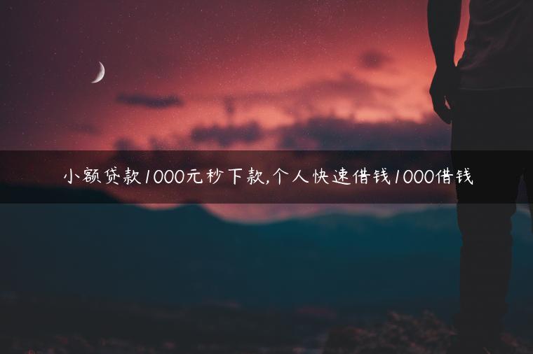 小额贷款1000元秒下款,个人快速借钱1000借钱