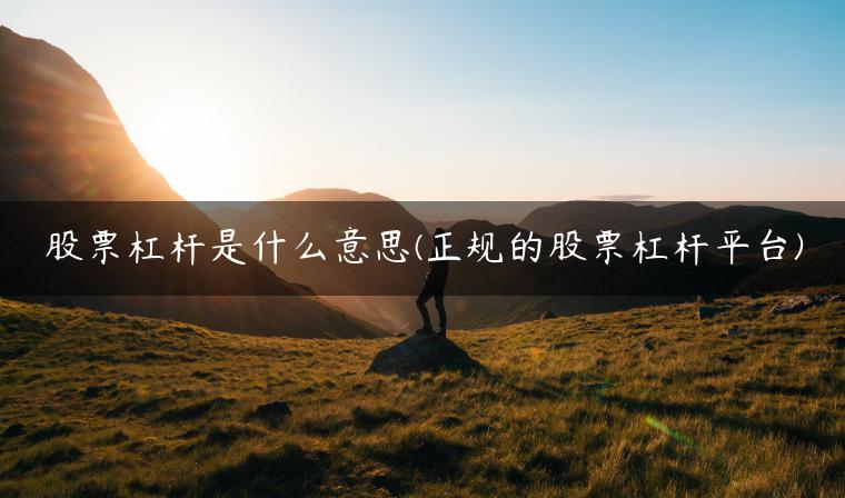 股票杠杆是什么意思(正规的股票杠杆平台)