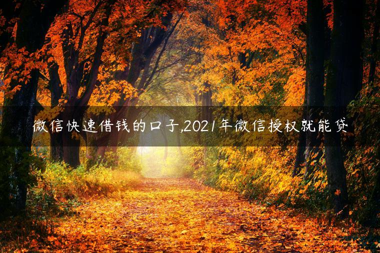 微信快速借钱的口子,2021年微信授权就能贷