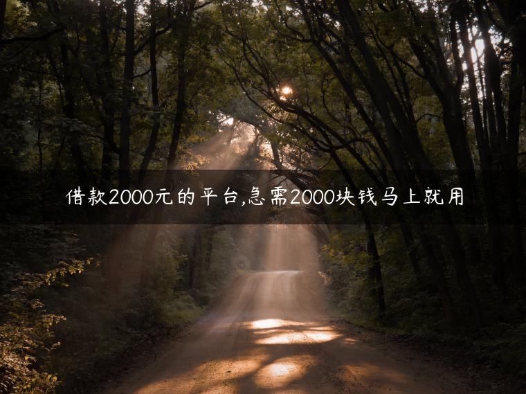 借款2000元的平台,急需2000块钱马上就用